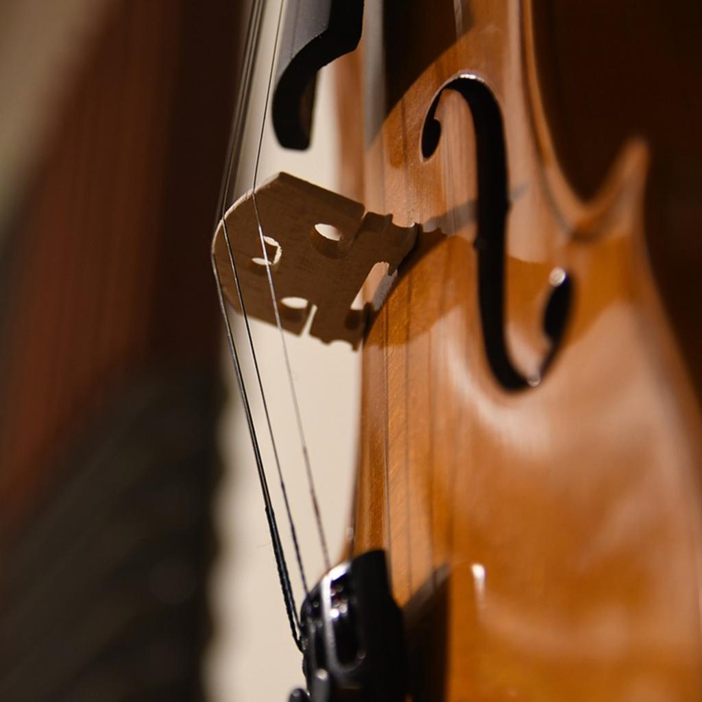 Instrument